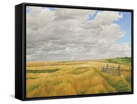 Summer on Cotley Hill, 2010-Peter Breeden-Framed Stretched Canvas