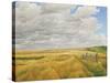 Summer on Cotley Hill, 2010-Peter Breeden-Stretched Canvas
