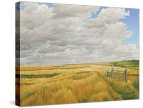 Summer on Cotley Hill, 2010-Peter Breeden-Stretched Canvas