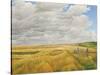 Summer on Cotley Hill, 2010-Peter Breeden-Stretched Canvas