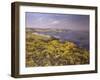 Summer on the Firth of Fourth-Charles Martin Hardie-Framed Giclee Print