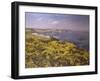 Summer on the Firth of Fourth-Charles Martin Hardie-Framed Giclee Print