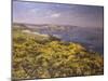 Summer on the Firth of Fourth-Charles Martin Hardie-Mounted Giclee Print