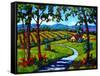 Summer on Young America Road-Patty Baker-Framed Stretched Canvas