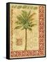 Summer Palm II-Gregory Gorham-Framed Stretched Canvas