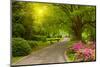 Summer Park Road-silver-john-Mounted Photographic Print