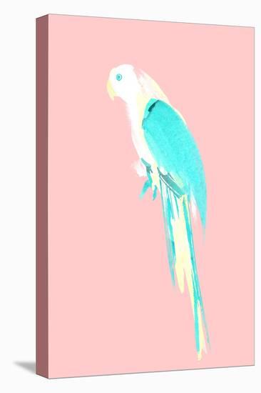 Summer Parrot-Robert Farkas-Stretched Canvas