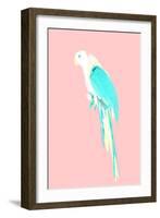 Summer Parrot-Robert Farkas-Framed Giclee Print