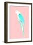 Summer Parrot-Robert Farkas-Framed Giclee Print