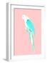 Summer Parrot-Robert Farkas-Framed Giclee Print