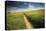 Summer Path-Michael Hudson-Stretched Canvas