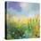 Summer Path-Sandy Dooley-Stretched Canvas