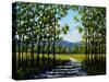 Summer Path-Patty Baker-Stretched Canvas