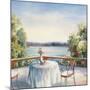 Summer Patio-David Weiss-Mounted Art Print