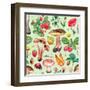 Summer Pattern with Watercolor Illustrations of Flowers and Mushrooms-Sundra-Framed Art Print