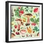 Summer Pattern with Watercolor Illustrations of Flowers and Mushrooms-Sundra-Framed Art Print