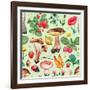 Summer Pattern with Watercolor Illustrations of Flowers and Mushrooms-Sundra-Framed Art Print