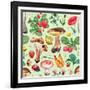 Summer Pattern with Watercolor Illustrations of Flowers and Mushrooms-Sundra-Framed Art Print