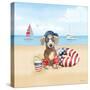 Summer Paws Patriotic III-Beth Grove-Stretched Canvas