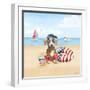 Summer Paws Patriotic III-Beth Grove-Framed Art Print