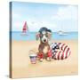 Summer Paws Patriotic III-Beth Grove-Stretched Canvas