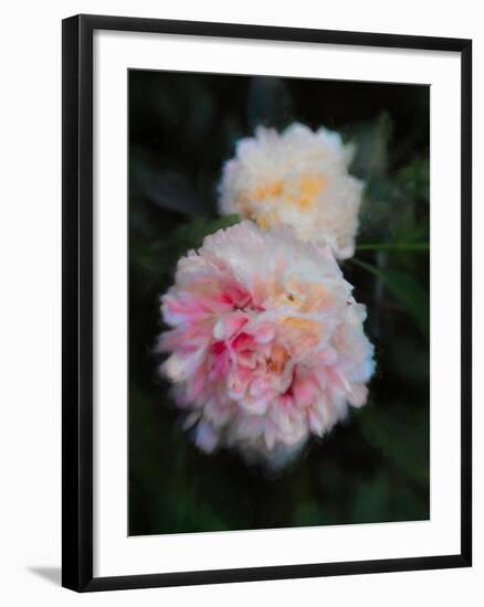 Summer Peonies, 2018,-Helen White-Framed Giclee Print