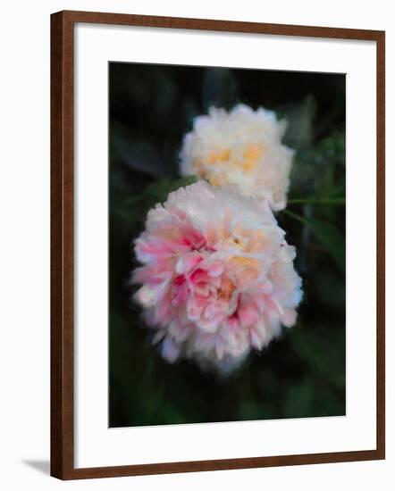 Summer Peonies, 2018,-Helen White-Framed Giclee Print