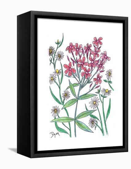 Summer Phlox-Beverly Dyer-Framed Stretched Canvas