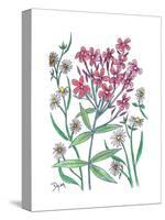 Summer Phlox-Beverly Dyer-Stretched Canvas