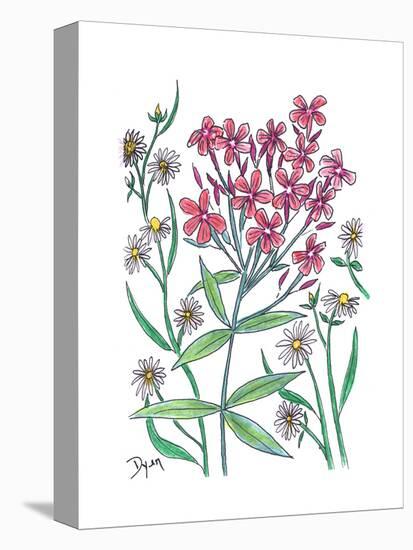 Summer Phlox-Beverly Dyer-Stretched Canvas