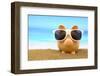 Summer Piggy Bank with Sunglasses on the Beach-viperagp-Framed Photographic Print