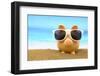 Summer Piggy Bank with Sunglasses on the Beach-viperagp-Framed Photographic Print