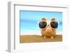 Summer Piggy Bank with Sunglasses on the Beach-viperagp-Framed Photographic Print