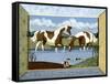 Summer Pleasures - June-Kristin Bryant-Framed Stretched Canvas