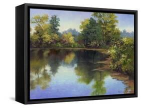 Summer Pond-Mary Jean Weber-Framed Stretched Canvas