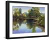 Summer Pond-Mary Jean Weber-Framed Art Print