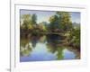 Summer Pond-Mary Jean Weber-Framed Art Print