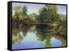 Summer Pond-Mary Jean Weber-Framed Stretched Canvas