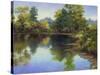 Summer Pond-Mary Jean Weber-Stretched Canvas