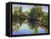 Summer Pond-Mary Jean Weber-Framed Stretched Canvas