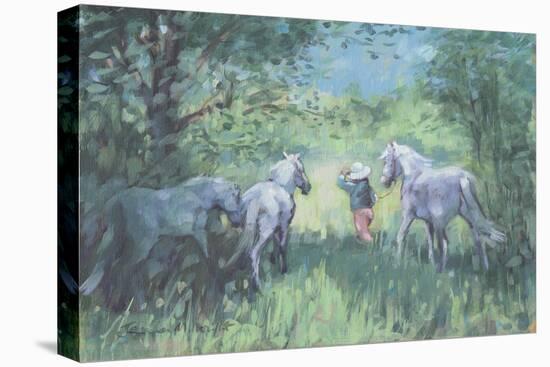 Summer Ponies-Jennifer Wright-Stretched Canvas