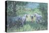 Summer Ponies-Jennifer Wright-Stretched Canvas