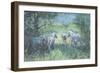 Summer Ponies-Jennifer Wright-Framed Giclee Print