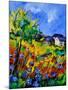 Summer Poppies 673180-Pol Ledent-Mounted Art Print