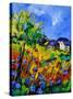 Summer Poppies 673180-Pol Ledent-Stretched Canvas