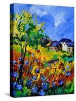 Summer Poppies 673180-Pol Ledent-Stretched Canvas