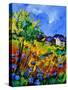 Summer Poppies 673180-Pol Ledent-Stretched Canvas