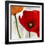 Summer Poppies I-Jenny Thomlinson-Framed Art Print