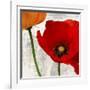 Summer Poppies I-Jenny Thomlinson-Framed Art Print