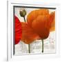 Summer Poppies II-Jenny Thomlinson-Framed Art Print